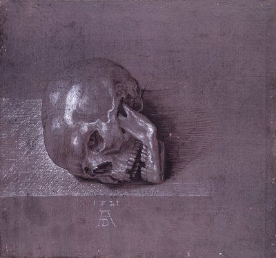Study of a human skull, 1521 by Albrecht Dürer